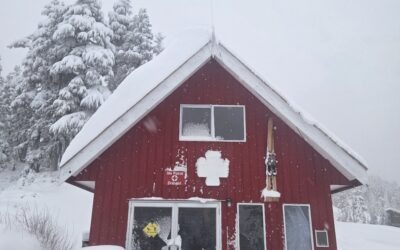 We’re opening Sunday 21st!