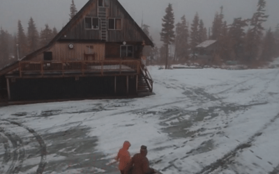 Opening Weekend Postponed 2.0