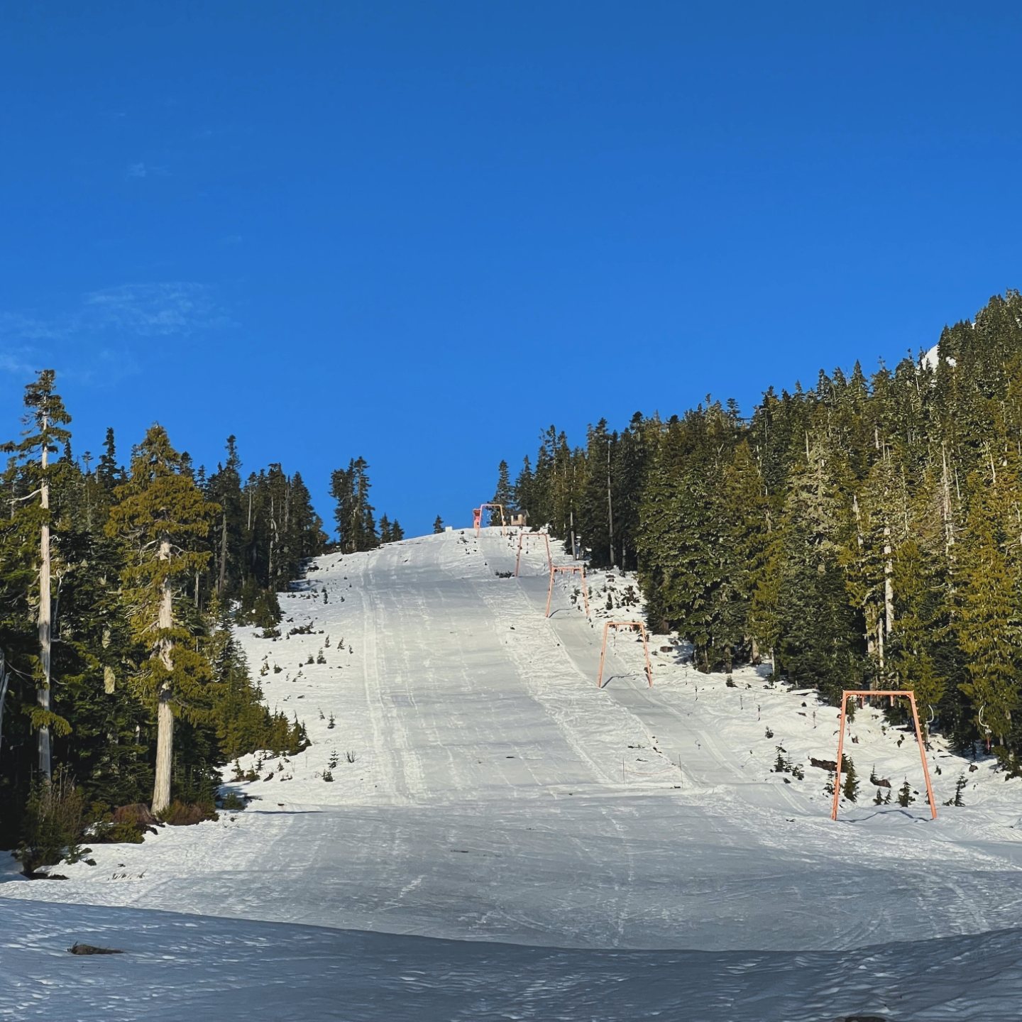 June-uary - Mount Cain